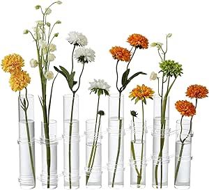 Dinyeo Hinged Flower Vase Different Heights Clear Cylinder Glass Test Tube Propagation Station Test Tube Flower Chandelier, Tube Vase Centerpiece, Test Tube Propagation, Test Tube Vase, Propagation Station, Container Office, Hydroponic Plants, Test Tubes, Bookshelf Desk