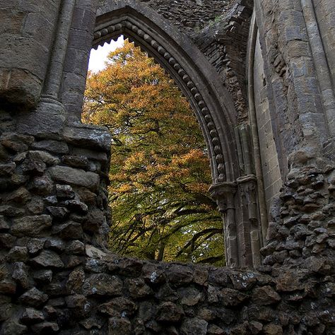 Glastonbury Abbey, Castle Medieval, Half Elf, Somerset England, Abandoned Castles, Old Stone, Wales England, Abandoned Places, Somerset