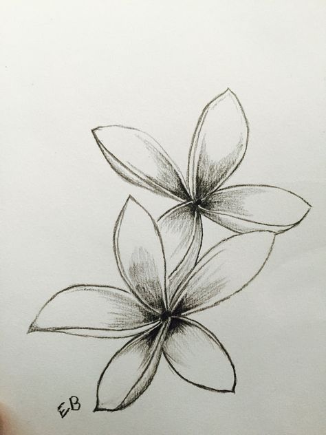 Frangipani Fragipanni Flower Tattoo, Tiare Flower Tattoo, Frangipani Drawing, Hawaiian Flower Drawing, Plumeria Flower Tattoos, Frangipani Tattoo, Hibiscus Drawing, Orchid Flower Tattoos, Colored Pencil Artwork Ideas