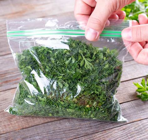 How To Freeze Greens Without Blanching How To Freeze Fresh Mustard Greens, How To Freeze Greens, How To Freeze Fresh Collard Greens, Freezing Beet Greens, Freezing Mustard Greens, How To Freeze Mustard Greens, How To Freeze Turnip Greens, How To Freeze Collard Greens, How To Freeze Kale