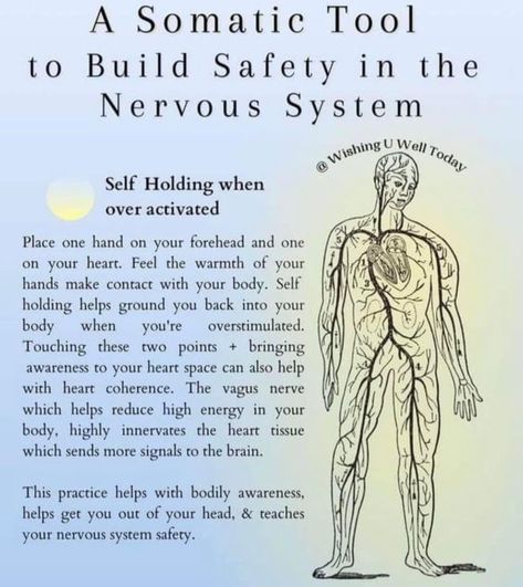 The Power Of Breath, What Is Somatic Healing, Somatic Healing Quotes, Healing Nervous System, Dorsal Vagal Shutdown, Vagus Nerve Exercise, Somatic Healing Exercises, Somatic Meditation, Vagus Nerve Healing