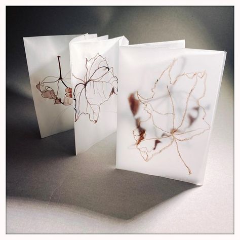 Sarah Grace Dye on Instagram: "A little book of studies from a leaf. Drawn on tracing paper because I like the crinkle of it, it’s like the sound of dried leaves. Also like the layering of shapes as you move through the book. Three concertina sections of four pages, stitched together with clear fishing wire, to create extra overlap. Thanks to @kasiaparker.art for the prompts and for the ever lovely company of @catsivertsen @fran.quinlan.artist @martine.rastello @annerosegeorgeson @tracie_stewa Tracing Paper Art, Art Publication, Sarah Grace, Concertina Book, Paper Shapes, Tracing Paper, Paper Drawing, The Sound, Paper Art