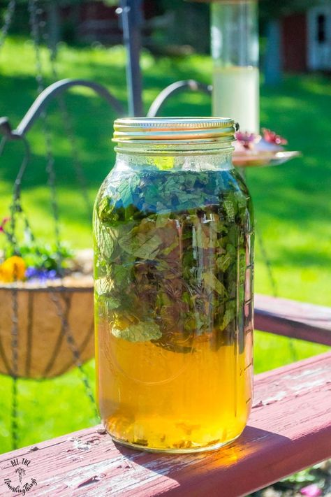 How to Make Fresh Mint Sun Tea (just water, fresh mint, & sunshine!) Mint Sun Tea, Freeze Cauliflower, Sun Tea Recipe, Mint Tea Recipe, Fresh Mint Tea, Dinner Recipes Healthy Family, Peppermint Plants, Juice Smoothies Recipes, Vegan Breakfast Easy