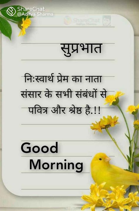 Hindi Good Morning Quotes Beautiful, Shubh Prabhat In Hindi, Good Morning Hindi Quotes, Good Morning Nature Quotes, Gm Images, Good Night Qoutes, Good Morning Monday Images, Tiger Images, Green Scenery