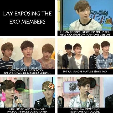 exo lay dishing Exo Facts, Lay Yixing, Exo Funny, Exo Lay, Exo Memes, Kim Jongdae, Bts And Exo, Lu Han, Kpop Exo