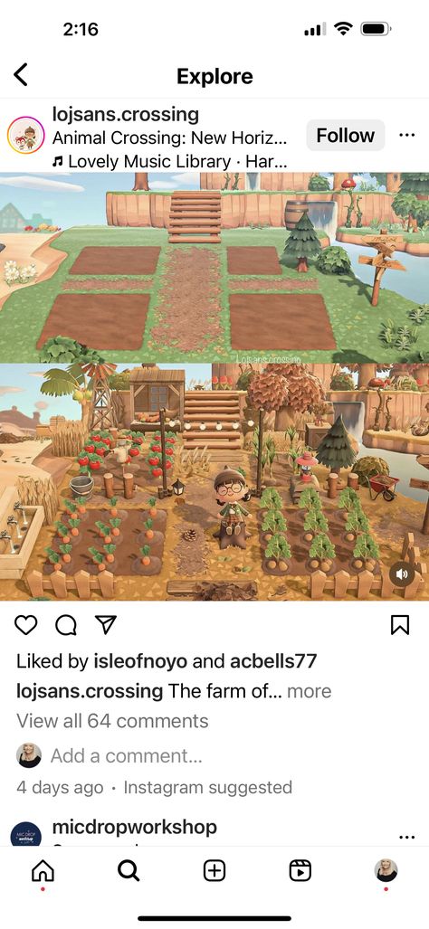 Acnh Farm Ideas Cottagecore, Acnh Vegetable Garden Layout Ideas, Animal Crossing Vegetable Garden Ideas, Animal Crossing Vegetable Garden, Acnh Vegetable Garden, Acnh Orchard Layout Ideas, Acnh Garden, Acnh Spooky, Spooky Island