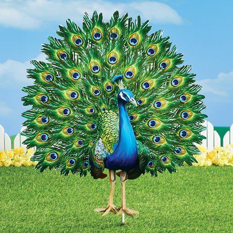 Peacock Images, Peacock Pictures, Christmas Art Projects, Christmas Artwork, Lawn Ornament, Christmas Arts And Crafts, Peacock Painting, Peacock Bird, Canvas For Beginners