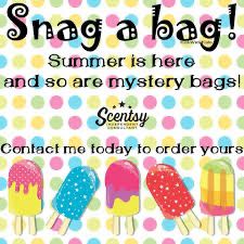 Scentsy Mystery Bag Ideas Summer, Mystery Bags Scentsy, Scentsy Mystery Bag Ideas, Mystery Bag Ideas, Mystery Bags, Scentsy Ideas, Scentsy Consultant Ideas, Mystery Bag, Scentsy Consultant