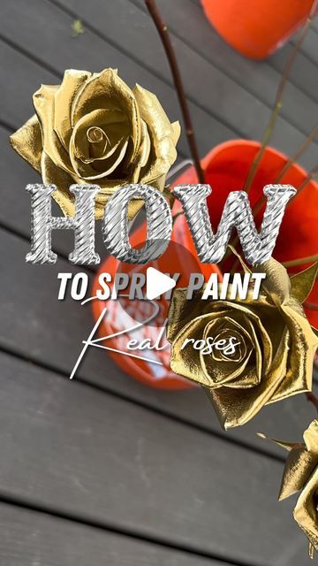 302 FLOWERS 🌹 on Instagram: "How to spray paint roses 💐
(READ BELOW👇🏼✨)
-
-
-
Important notes:
• Design master floral spray paint needed
• Use white roses preferably 
• Design master spray from Amazon 
• Wear a respirator mask, smell is strong
• Do NOT heavy hand while spraying your roses
• Lightly spray in a up & down motion for the sides
• For the top, spray in a side to side motion for all angles
• After you’ve sprayed all roses, go back in for a second light layer to get any missing spots 
• Allow roses to dry spaced apart!
• Dry for 30mins-1hr then arrange your bouquet 
**ANY QUESTIONS COMMENT DOWN BELOW 🫶🏻**
-
-
-
#explore #fyp #explorepage #flowers #mothersday #floraldesigner #rosebouquet #bouquet #romance #smallbusiness #lovethis #selflove #love #flowerarrangement #florists # Spray Painted Fake Flowers, Flower Spray Paint, Natural Spray For Rose Bushes, Yellow Spray Roses, Floral Spray Paint, Flower Spray, Design Master, Rose Painting, Soft Girl