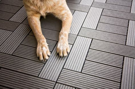 Pet-Friendly Flooring Buying Guide: The Best Floors for Paws, Claws and Hooves – FlooringInc Blog Outdoor Flooring Lowe's, Wood Deck Tiles Lowe's, Ikea Click Deck, Best Floors For Dogs, Dog Friendly Flooring, Pet Friendly Flooring, Easy Deck, Deck Flooring, Interlocking Deck Tiles