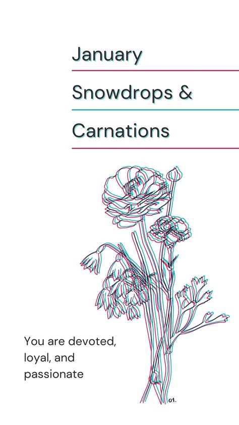 Words: January, snowdrops and carnations. You are devoted, loyal, and passionate.
Image: line drawing of said flowers with a glitch effect Carnation And Snowdrop, Carnation Line Drawing, Carnation And Snowdrop Flower Tattoo, January Birth Flowers, Orchid Tattoo, Birth Month Flowers, Birth Month, Lights Background, Simplistic Tattoos