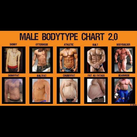 Male Body Type Body Types Chart, Athletic Body Types, Athletic Body Type, Mens Fitness Motivation, Muscle Workout, Fitness Routines, Muscle Body, Ideal Body, Workout Tips