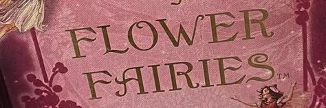 Flower Fairies, Twitter Header, Twitter, Flowers, Pink