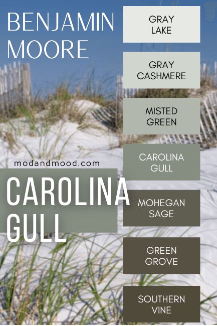 Benjamin Moore Carolina Gull (The Latest in Sage Greens!) 2138-40 – Mod & Mood Benjamin Moore Carolina Gull, Carolina Gull, Sage Living Room, Laundry Room Paint Color, Victorian Colors, Home Exteriors, Family Wall Decor, Paint Colors Benjamin Moore, Green Paint Colors