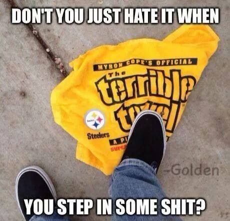 Steelers suck Cowboy Haters, Pittsburgh Steelers Funny, Fantasy Football Funny, Fantasy Football Names, Fantasy Football Logos, Fantasy Football Champion, Diy Easel, Fantasy Football Trophy, Anger Quotes