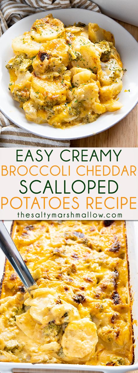 Broccoli Cheese Sauce, Cheddar Scalloped Potatoes, Easy Cheesy Scalloped Potatoes, Cheese Sauce For Broccoli, Scalloped Potato, Broccoli And Potatoes, Cheddar Potatoes, Scalloped Potato Recipes, Scallop Recipes