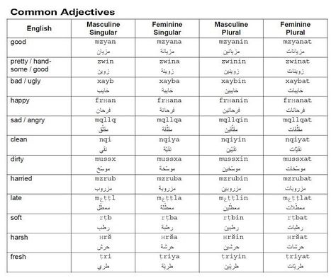 Moroccan Arabic Language on Instagram: “LEARN MOROCCAN ARABIC - COMMON ADJECTIVES Learn Moroccan Arabic Language - Darija http://moroccanarabiclanguage.com/ Get a FREE audio…” Moroccan Arabic Language, Darija Language, Common Adjectives, Moroccan Arabic, Regular Verbs, Present Tense, Free Audio, Arabic Language, Word Search Puzzle