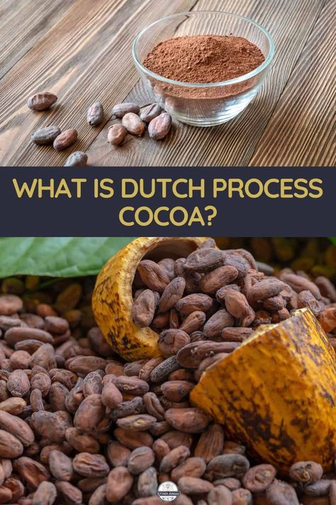 What is Dutch Process Cocoa?Delve into the fascinating world of Dutch Process Cocoa, uncovering its history, characteristics, uses, and dispelling common myths. Making Chocolate With Cocoa Powder, Copycat Archway Dutch Cocoa Cookies, Health Benefits Of Cocoa Powder, Dutch Processed Cocoa Powder, Dutch Cocoa, Cocoa Recipes, Decadent Chocolate Cake, Common Myths, Decadent Chocolate