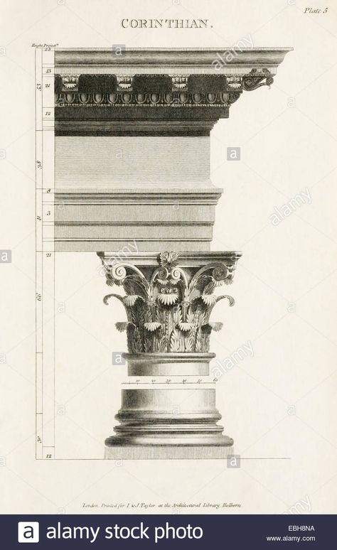 Corinthian order column from "The rudiments of ancient architecture". See description for more information Stock Photo - Alamy Corinthian Order, Georgian Interiors, Corinthian Column, European Art, Ancient Architecture, Project Design, Art Aesthetic, Ancient Greek, Architecture Details