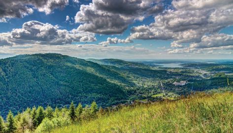 Neighborhoods near Seattle with outdoor appeal. Pacific Northwest Trail, Issaquah Washington, Mossy Tree, Washington State Parks, Poo Poo, Washington Travel, Conde Nast Traveler, Best Hikes, Bike Trails