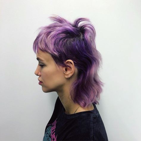 kellybuytaert’s Instagram profile post: “Missing my purple hair 💜 color used #purplerain💜 #girlsnight @arcticfoxhaircolor cut @bagussubakty for @tonikalinlabelsalon54 #mullet…” Purple Mullet Hair, Purple Hair Mullet, Colorful Mullet, Mullet Hair Color Ideas, Color Mullet, Purple Mullet, Dyed Mullet, Purple And White Hair, Blue Mullet