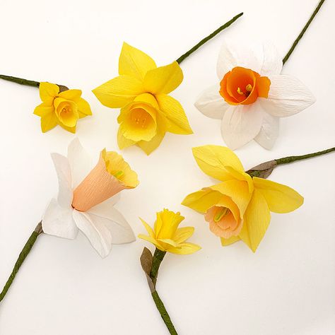 How to Make Crepe Paper Daffodils Paper Daffodils Diy How To Make, Daffodils Craft, Paper Daffodils, Easter Window Display, Daffodil Craft, German Flower, Homemade Flowers, Bathroom Flowers, How To Make Crepe