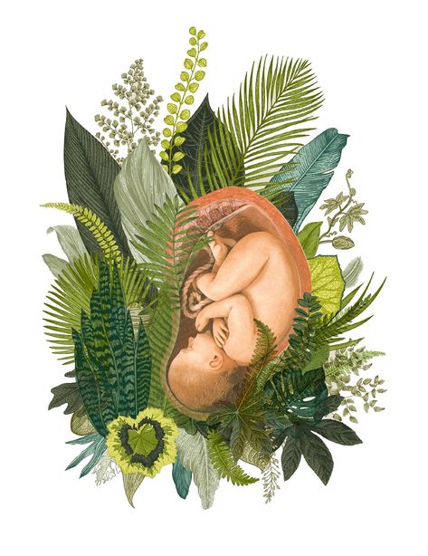 The Language of Birth • By Stepha Lawson. Birth Art, Birth Inspiration, Pregnancy, Feminine Wisdom, Goddess, Baby, Birth, Midwife Art, Pregnancy Art, Baby Art, Botanical Illustration, Baby Shower, Nursery Room, Labor, Labor and Delivery, Womb, Womb Art, Uterus, Prints for Sale, Tropical, Tropical Illustration Birth Inspiration, 가족 일러스트, Birth Art, Pregnancy Art, Tropical Illustration, Belly Painting, Baby Art, Anatomy Art, A Drawing