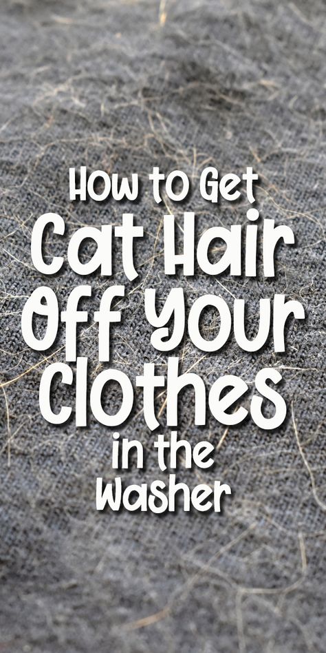 How to Get Cat Hair off Your Clothes in The Washing Machine How To Get Cat Hair Off Clothes, Tips To Keep Your Kitty Clean, How To Get Pet Hair Off Clothes, How To Get Dog Hair Off Clothes, How To Get Cat Hair Off Furniture, Pet Hair Removal Laundry, Cat Cleaning House, Diy Washing Machine, Cat Advice