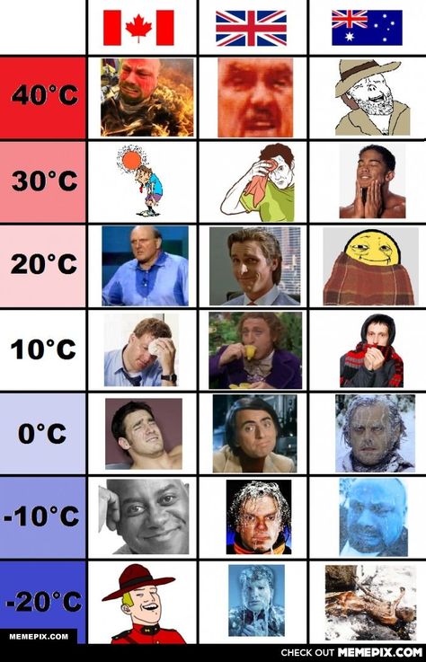 how the temperature feels in Canada, England and Australia Politikai Humor, Canada Memes, Funny Aussie, Aussie Memes, Australian Memes, Funny Australian, Hetalia Headcanons, Australia Funny, Demotivational Posters