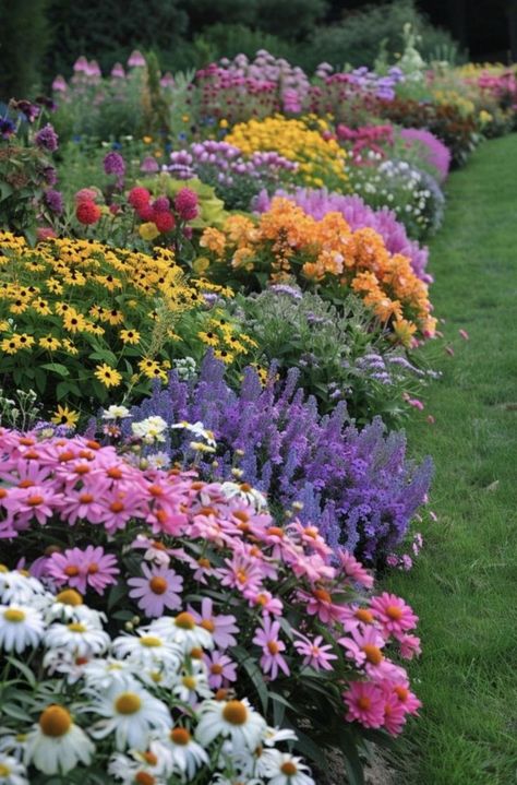 Country Flower Garden Ideas, Wildflower Backyard Landscaping, Uk Flower Beds, Desert Flower Garden, Flowers Around House, Flower Border Garden, Cottage Plants, Personal Garden, Flower Garden Plans