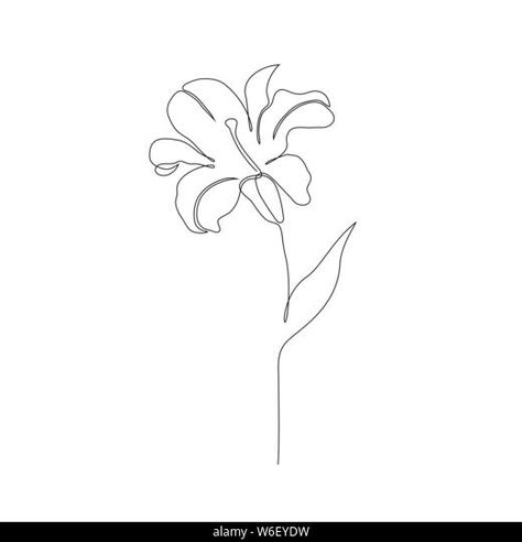 Line Art Daisy, Flower Outline Tattoo, Flower On White Background, Flower Line Drawing, Flower Line Art, Flower Line Drawings, Daisy Tattoo, Pencil Sketch Drawing, Single Line Drawing