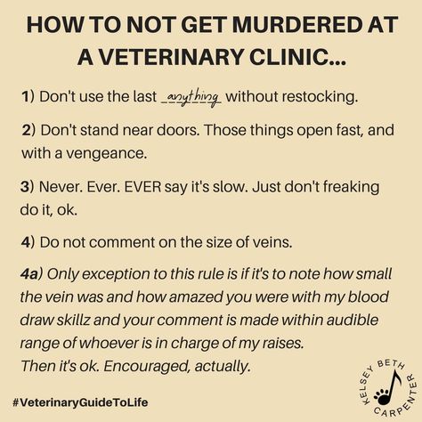 Vet rules Vet Quotes, Veterinary Medicine Humor, Vet Tech Quotes, Vet School Motivation, Veterinary Humor, Vet Nursing, Vet Tech Humor, Veterinarian Technician, Vet Tech School