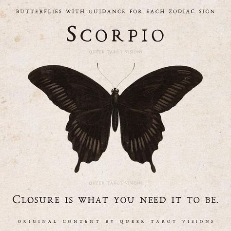 Zodiac Quotes Scorpio, Scorpio Art, Aries And Scorpio, Scorpio Girl, Zodiac Signs Chart, Gemini Rising, Scorpio Zodiac Facts, Zodiac Signs Scorpio, Scorpio Season