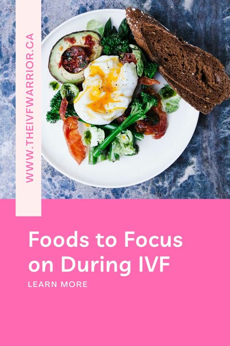 Foods to Focus on During IVF: Pre-Retrieval, Pre & Post Embryo Transfer Ivf Egg Retrieval, Ivf Diet, Frozen Embryo Transfer, Fertility Nutrition, Fertility Help, Egg Quality, Fertility Foods, Fertility Health, Embryo Transfer