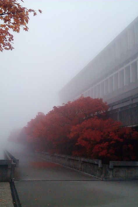 Simon Fraser University, Foggy Day, Brutalism, 2024 Vision, Vancouver, Vision Board, Arch, University, Quick Saves