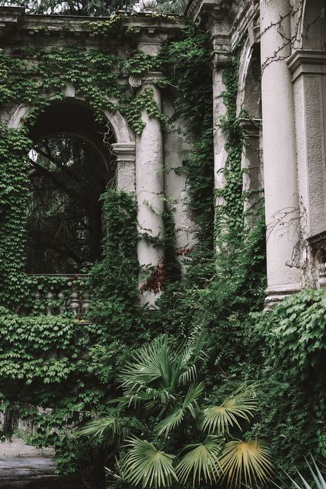 Overgrown Castle, Green Academia, Building Aesthetic, Beautiful Ruins, Forest Aesthetic, Castle Aesthetic, Ancient Forest, Secret Places, Architecture Old