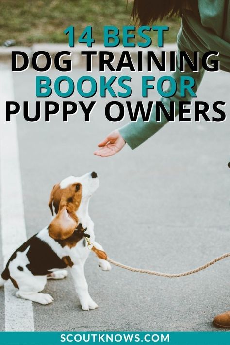 Being a puppy parent is no easy task. Luckily, there are a lot of fantastic books out there that can help you do a better job. Here some of our recommended puppy training books that you should check out. #puppytraining #dogtraining #dogbooks #dogtrainingbooks #pet #dogs #scoutknows Dog Training Books, House Training Dogs, Better Job, Best Puppies, Training Schedule, Best Dog Training, Dog Books, Older Dogs, Dog Parents