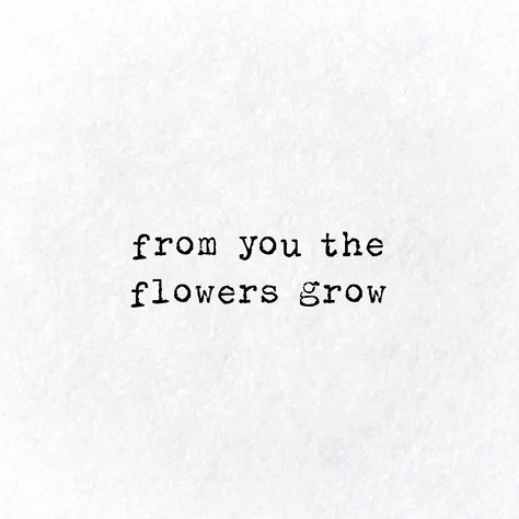 Florence Lyrics, Florence Welch Aesthetic, Typewriter Aesthetic, Flower Lyrics, Phrase Tattoos, Lyrics Aesthetic, Florence Welch, Flower Quotes, Autumn Aesthetic