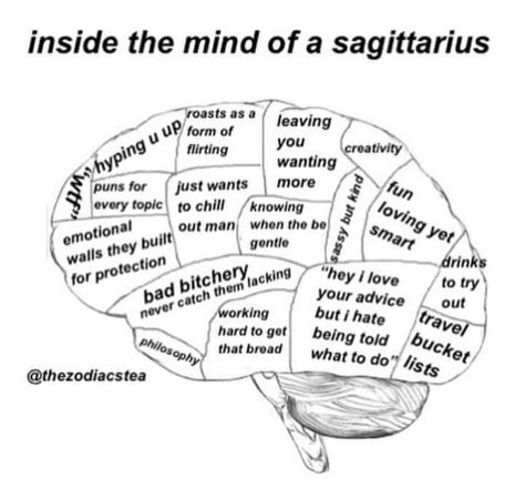 Brain Parts, Horoscope Memes, Zodiac Traits, Gemini Facts, Brain Power, How To Get Sleep, Horoscope Signs, Zodiac Quotes, Infp