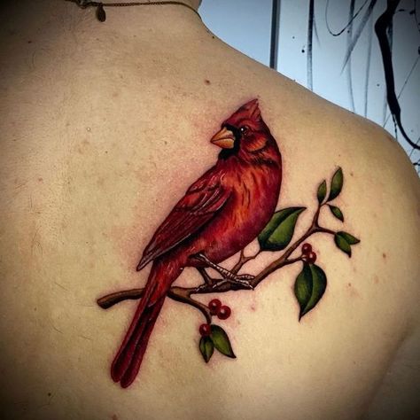 Renaissance Tattoo Studio on Instagram: "Beautiful cardinal tattoo done by @justin_makesyoubleed #tattoo #blackandgreytattoo #cardinaltattoo" Cardinal Ankle Tattoo, Realistic Cardinal Tattoo, Pair Of Cardinals Tattoo, Red Cardinal Tattoo, Cardinal Tattoos For Women, Small Cardinal Tattoos For Women, Cardinal Tattoo Memorial, Red Cardinal Tattoos, Small Cardinal Tattoo