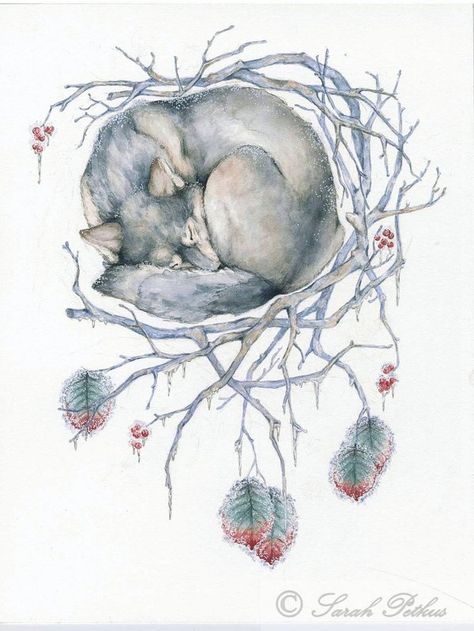 Winter Dreamcatcher on Behance Sleeping Wolf, Watercolor Wolf, Wolf Illustration, Sleeping Animals, Animal Art Print, 강아지 그림, Wolf Spirit, 1 Tattoo, Fox Art