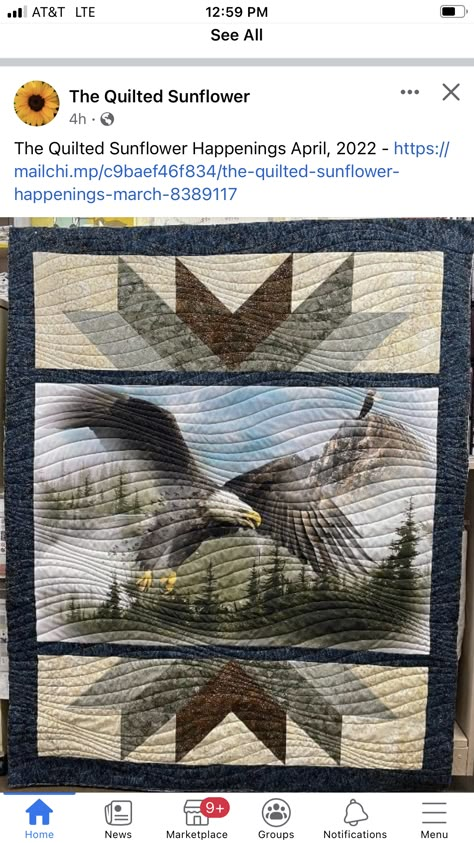 Panel Quilt Patterns Layout Design, Quilt Patterns Using Panels, Quilt Borders Patterns, Motorcycle Quilts Ideas, Panel Quilts Ideas Layout Patterns Free, Quilt Panel Border Ideas, Eagle Panel Quilts, Wildlife Panel Quilts Ideas Layout, Panel Quilts Ideas Layout