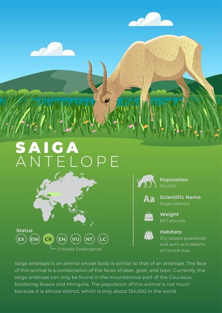 Nature Infographic, Wildlife Infographic, Saiga Antelope, Peppermint Narwhal, Zoo Education, Wildlife Poster, Animal Infographic, Animals Information, Research Poster