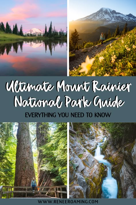 Where To Stay In Washington State, Mount Rainier National Park Itinerary, Pnw Trip, Washington Adventures, Washington Road Trip, Mt Rainer, Washington Trip, Seattle Vacation, Seattle Trip