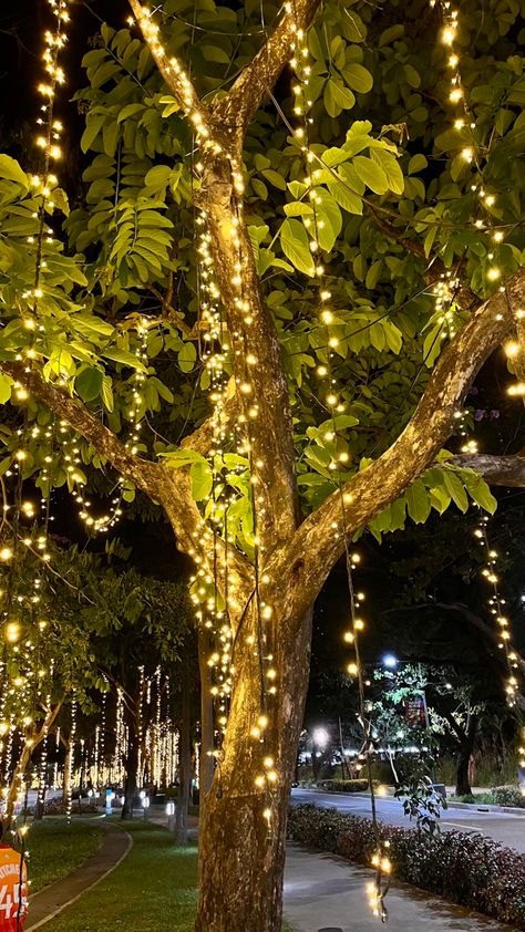 Shot on iPhone 13 Light Asthetics Photos, Night Lights Wallpaper, Thumbnails Aesthetic, Asthetic Picture White And Black, Lights Wallpaper, Shot On Iphone, Tree With Lights, Blur Photography, Snap Streak Ideas Easy