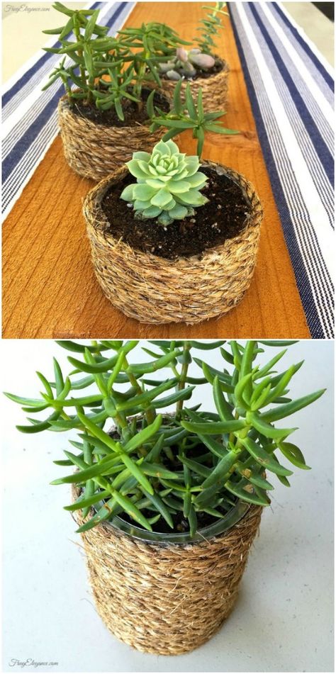 Rope Wrapped Succulent Planters - 20 Frugally Genius Ways To Upcycle Empty Tuna Cans Palet Deck, Food Can Crafts, Decorating Tin Cans, Tuna Can Crafts, Tuna Soup, Tin Can Decor, Tin Can Projects, Tin Can Ideas, Tuna Cans