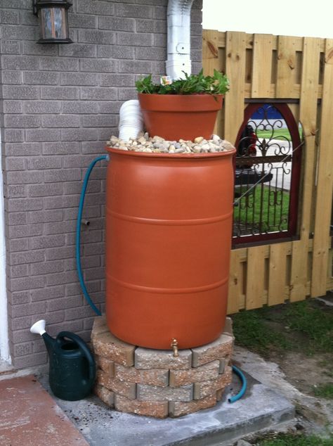 Pretty Rain Barrel Ideas, Rain Barrel Art, Rain Barrel Decorating Ideas, Rain Barrel Ideas, Rain Barrell, Rain Water Barrel, Diy Rain Barrel, Rain Barrel Stand, Rain Barrel System