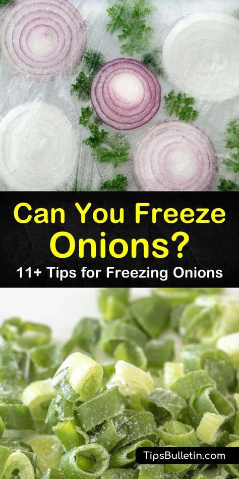 Can Onions, Freeze Onions, Freezing Onions, Freezing Food Guide, Onion Benefits Health, Freezing Peppers, Freezing Vegetables, Freezing Fruit, Freeze Greens