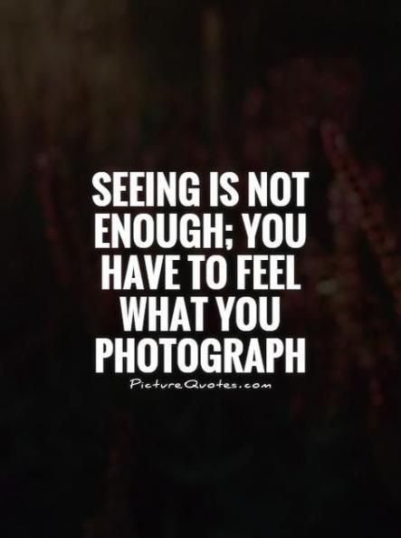 Photography Inspiration Quotes, Quotes Memories, Photographer Quotes, Photography Quotes, Photographer Pictures, Quotes About Photography, Photography Beach, Memories Quotes, Ideas Photography