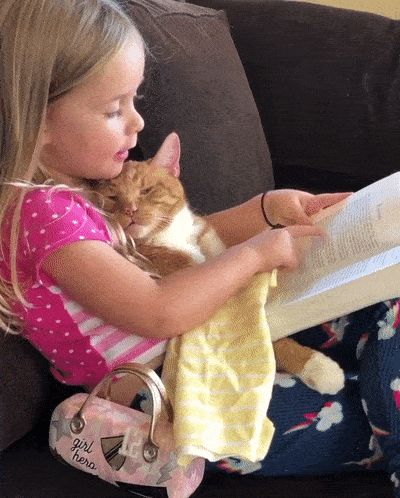 Optimize animated GIF Bedtime Story, Dog Rescue, Top Funny, Bedtime Stories, Animals For Kids, Pet Adoption, Animal Rescue, Animated Gif, Picture Video